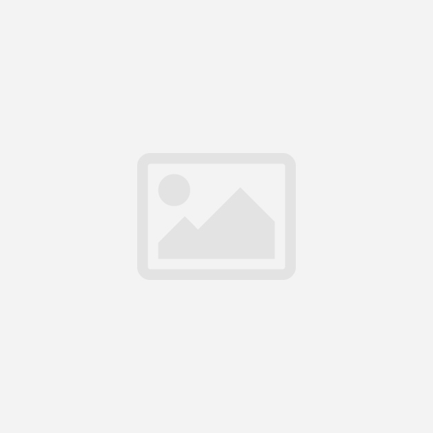 マーベル・レジェンド 6インチ・アクションフィギュア MCUシリーズ  アントマン&ワスプ クアントマニア アントマン